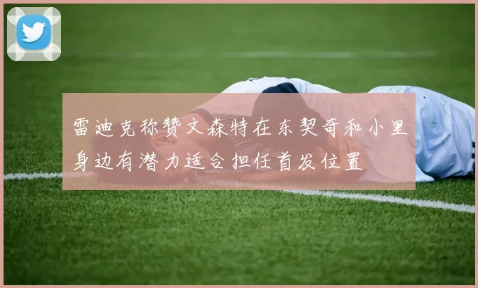 雷迪克称赞文森特在东契奇和小里身边有潜力适合担任首发位置