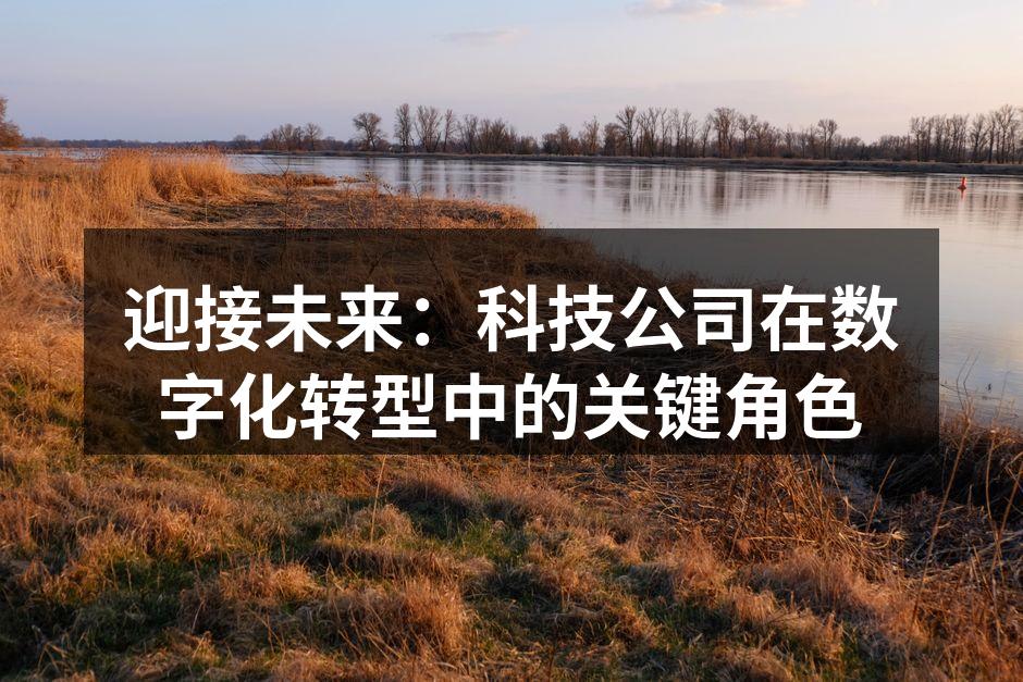 迎接未来：科技公司在数字化转型中的关键角色